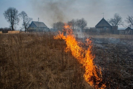 Пал сухой травы опасен.