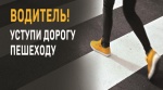 Госавтоинспекция Светлогорского городского округа проводит ОПМ "Пешеход"