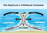 Главное управление МЧС России по Калининградской области призывает население соблюдать правила безопасного поведения на водоемах.